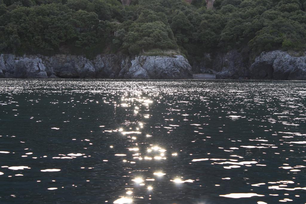 Il Vecchio E Il Mare Maratea Bed & Breakfast Eksteriør bilde